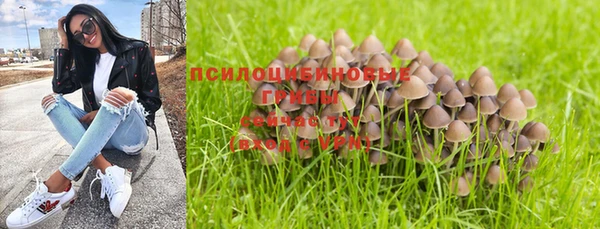 герыч Белокуриха