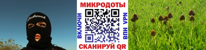 Галлюциногенные грибы Psilocybine cubensis  как найти   Севск 